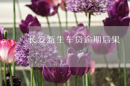 长安新生车贷逾期后果 长安新生车贷逾期后果