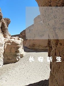 长安新生车贷逾期怎么处理 长安新生车贷逾期怎么处理