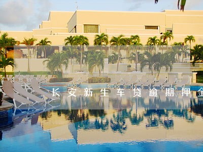 长安新生车贷逾期押金 长安新生车贷逾期押金