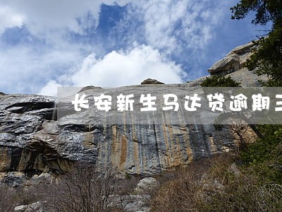 长安新生马达贷逾期三个月 长安新生马达贷逾期三个月