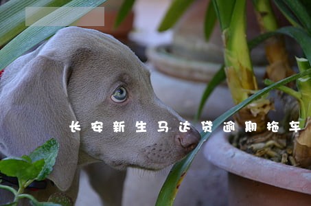 长安新生马达贷逾期拖车 长安新生马达贷逾期拖车