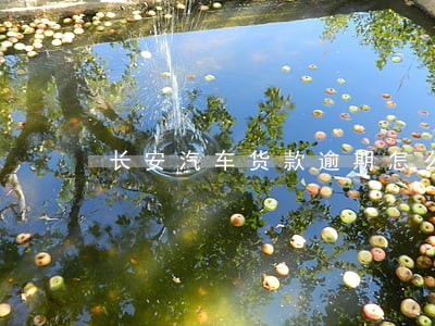 长安汽车货款逾期怎么还 长安汽车货款逾期怎么还