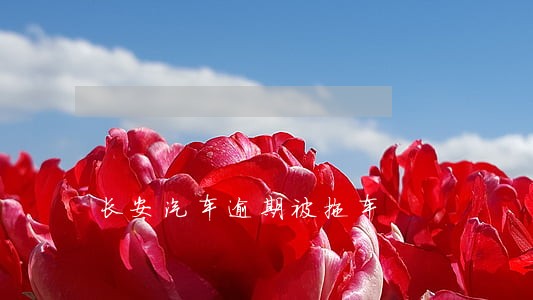 长安汽车逾期被拖车 长安汽车逾期被拖车