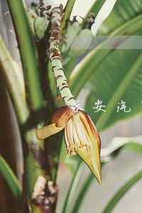长安汽车金融有限公司逾期 长安汽车金融有限公司逾期