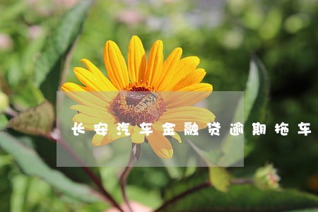 长安汽车金融贷逾期拖车吗 长安汽车金融贷逾期拖车吗