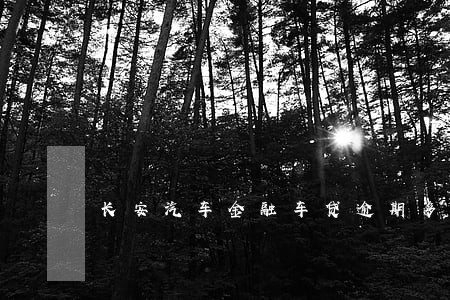 长安汽车金融车贷逾期多久扣车 长安汽车金融车贷逾期多久扣车
