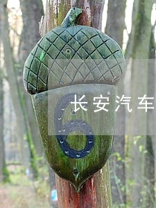 长安汽车金融逾期15天