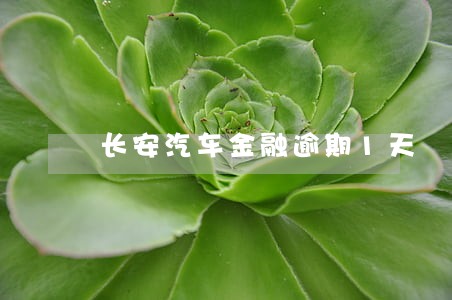 长安汽车金融逾期1天 长安汽车金融逾期1天