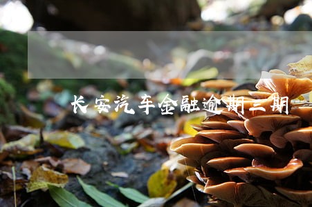 长安汽车金融逾期三期 长安汽车金融逾期三期