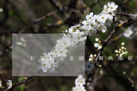 长安汽车金融逾期两期收到催款函 长安汽车金融逾期两期收到催款函