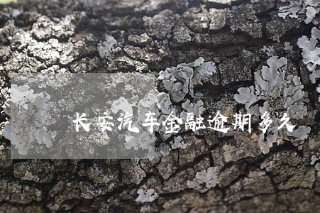 长安汽车金融逾期多久