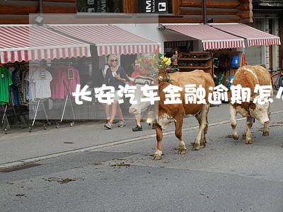 长安汽车金融逾期怎么 长安汽车金融逾期怎么