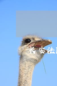 长安法院扫黑除恶 长安法院扫黑除恶