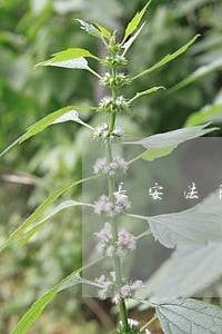 长安法院查案电话 长安法院查案电话