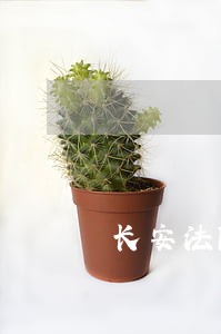 长安法院门口写状纸