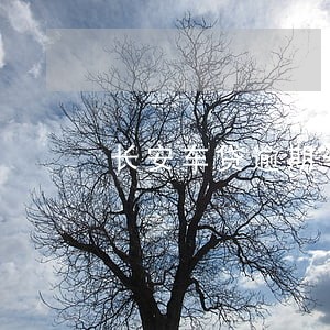长安车贷逾期一天会自动扣款吗 长安车贷逾期一天会自动扣款吗