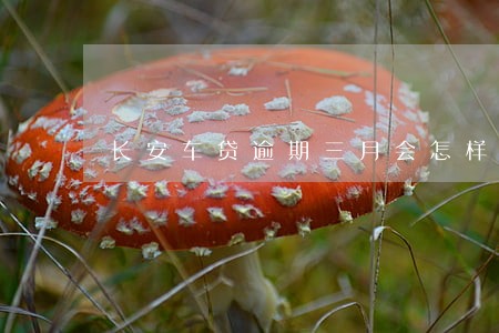 长安车贷逾期三月会怎样 长安车贷逾期三月会怎样