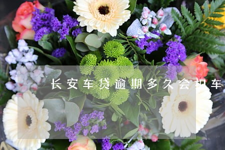 长安车贷逾期多久会扣车