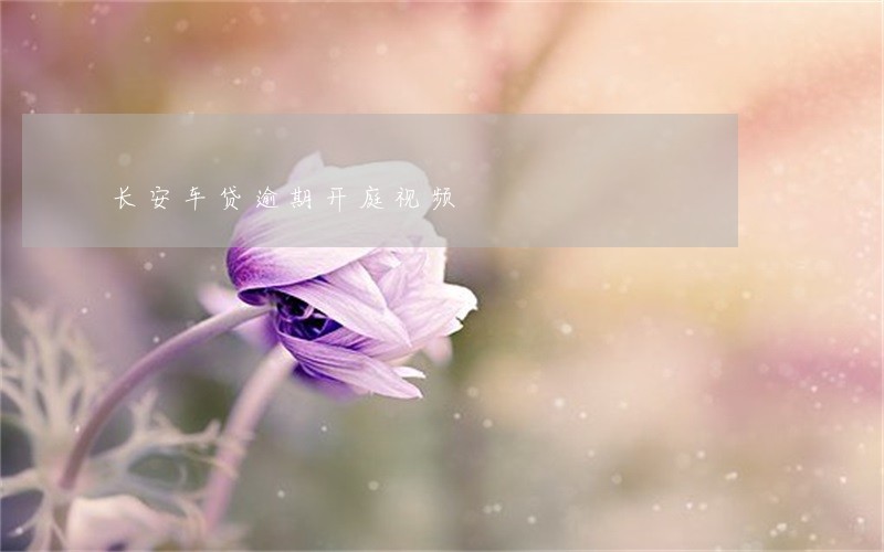 长安车贷逾期开庭视频 长安车贷逾期开庭视频