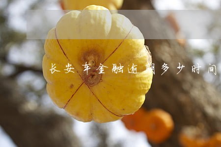 长安车金融逾期多少时间拖车 长安车金融逾期多少时间拖车