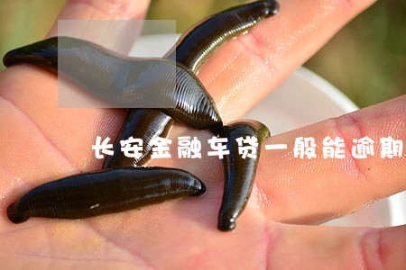 长安金融车贷一般能逾期多久 长安金融车贷一般能逾期多久