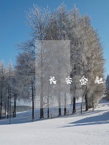 长安金融车贷逾期三天上征信吗 长安金融车贷逾期三天上征信吗