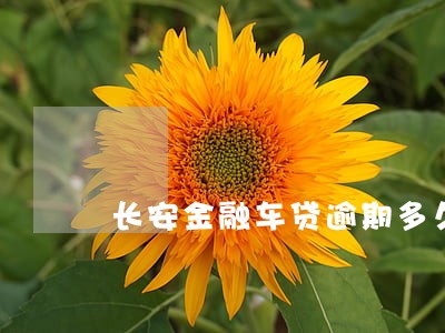 长安金融车贷逾期多久会拖车