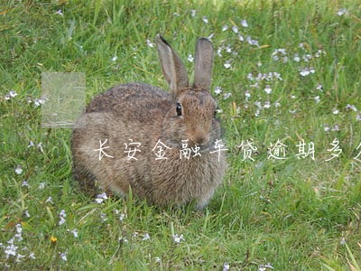 长安金融车贷逾期多久回收车