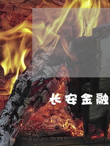 长安金融车贷逾期多少