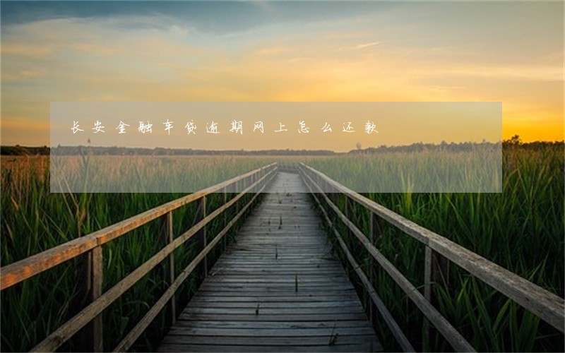 长安金融车贷逾期网上怎么还款