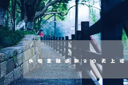 长安金融逾期20天上征信了 长安金融逾期20天上征信了