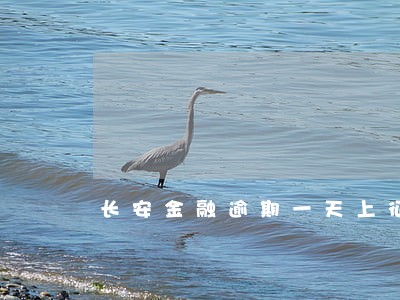 长安金融逾期一天上征信 长安金融逾期一天上征信