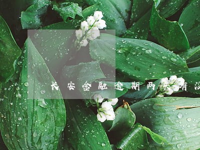 长安金融逾期两天有没有影响 长安金融逾期两天有没有影响