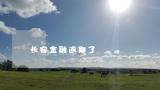长安金融逾期了