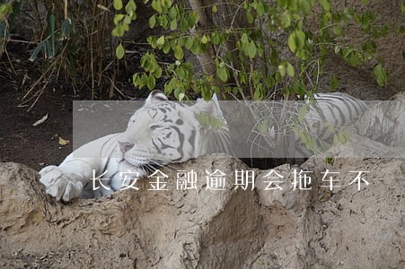 长安金融逾期会拖车不 长安金融逾期会拖车不