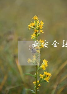长安金融逾期会锁车吗 长安金融逾期会锁车吗