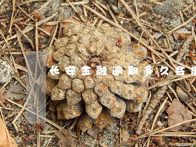 长安金融逾期多久会催款 长安金融逾期多久会催款