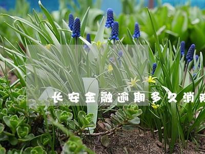 长安金融逾期多久消除 长安金融逾期多久消除