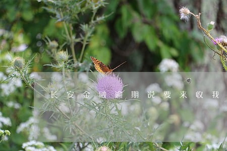 长安金融逾期说要来收我车 长安金融逾期说要来收我车