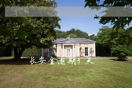 长安金逾期3天