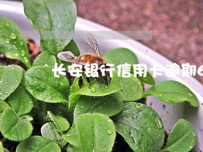 长安银行信用卡逾期6天 长安银行信用卡逾期6天