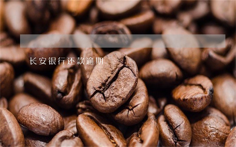 长安银行还款逾期