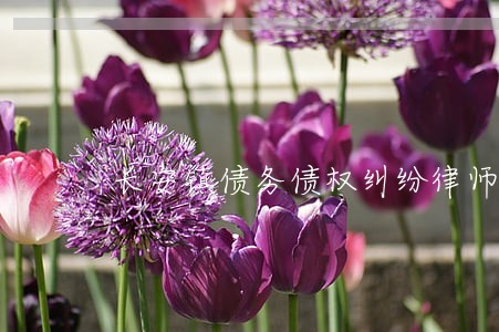 长安镇债务债权纠纷律师介绍 长安镇债务债权纠纷律师介绍