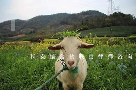 长安镇合伙联营律师咨询电话 长安镇合伙联营律师咨询电话