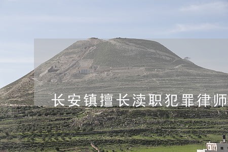 长安镇擅长渎职犯罪律师