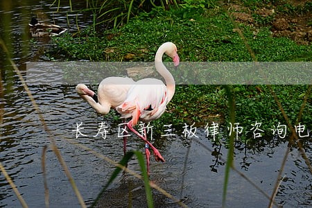 长寿区新三板律师咨询电话 长寿区新三板律师咨询电话