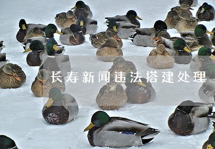 长寿新闻违法搭建处理 长寿新闻违法搭建处理
