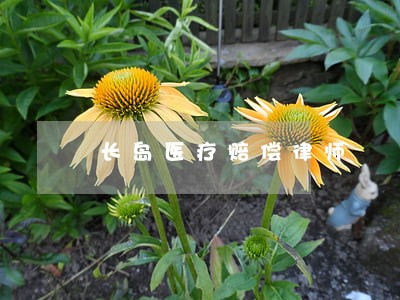 长岛医疗赔偿律师 长岛医疗赔偿律师