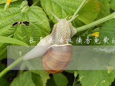 长岛县债权债务免费法律咨询 长岛县债权债务免费法律咨询