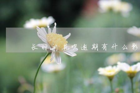 长时间花呗逾期有什么影响 长时间花呗逾期有什么影响